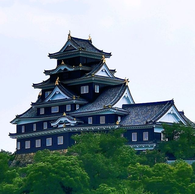 岡山城