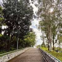 Serene Escape at S2 Hill Park