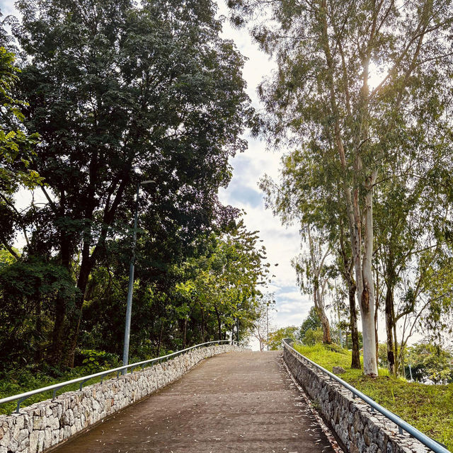 Serene Escape at S2 Hill Park
