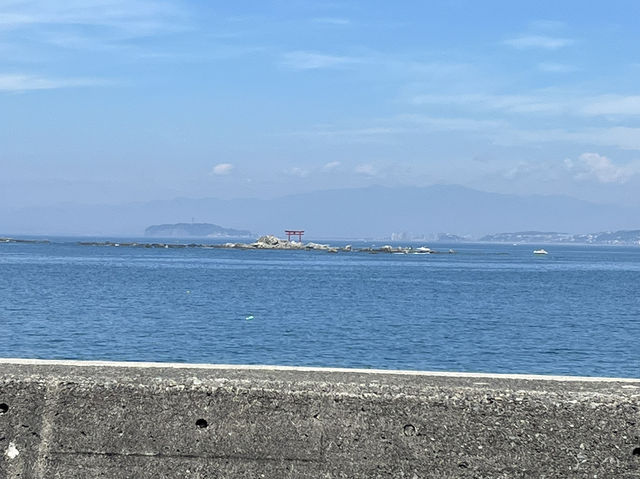 探索逗子的海濱風光🌊🌅