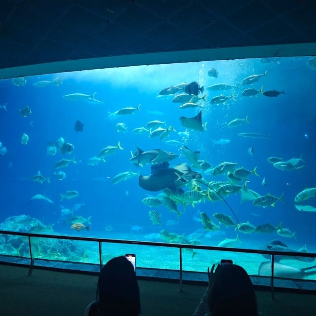 輕輕鬆鬆屏東墾丁四日三夜之旅