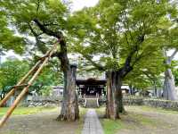 【長野県】長野市唯一の茅葺屋根がある神社