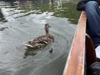 Punting Through the Knowledge Town: Discovering Cambridge’s Charm