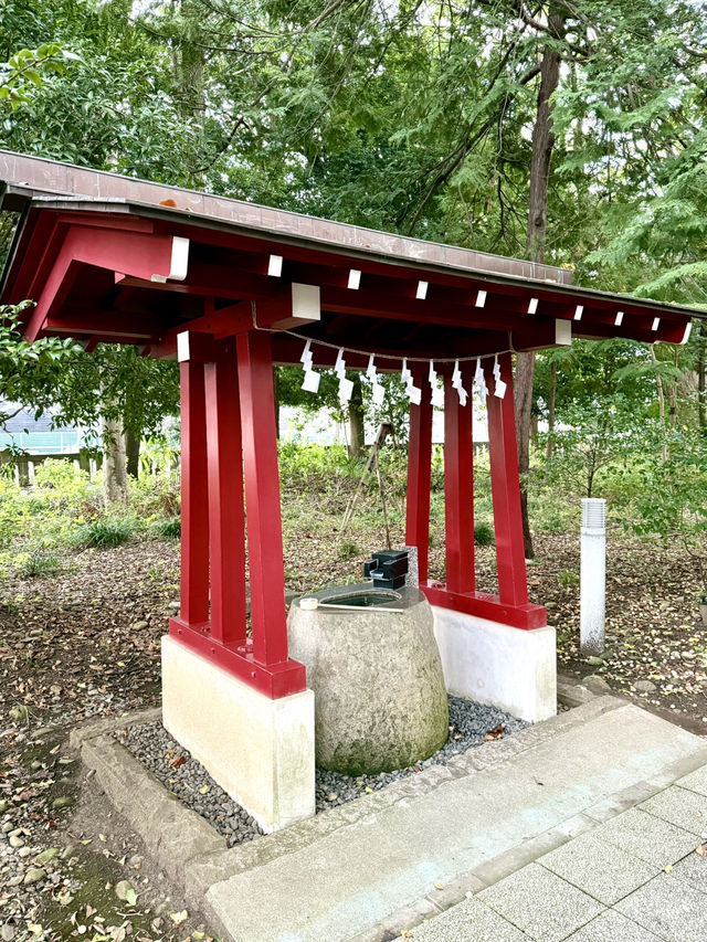 【埼玉県】秩父神社の裏側にある「柞の杜」が由来