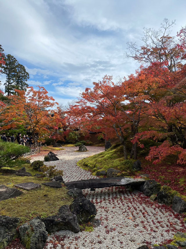【宮城県･松島町】景色が素敵な円通院🍁