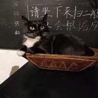 舊天堂書店