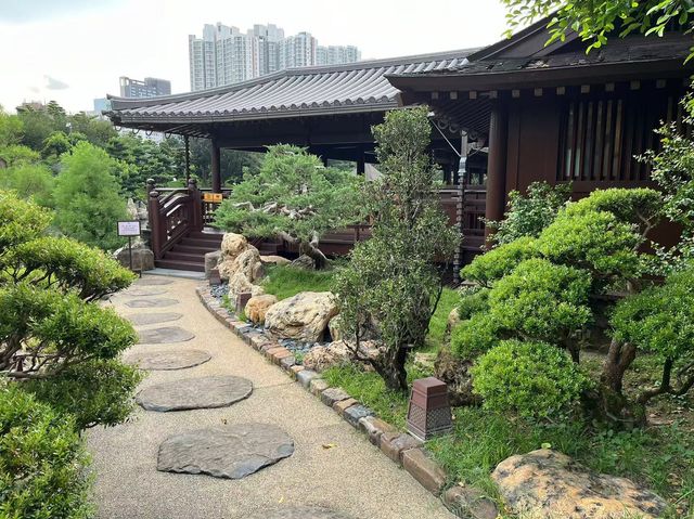 隱藏於香港鬧市的禪意之境：志蓮淨苑，一探港版小京都的絕美秘境