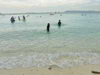 ชวนไปถ่ายรูปกับฝูงน้องห่านที่หาดเทียน