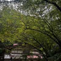 輕井澤之白絲瀑布