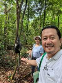 Encounter Orang Utan in Gunung Leuser National Park