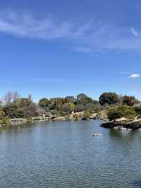 《熊本水前寺成趣園》：尋找寧靜與自然之美的心靈之旅