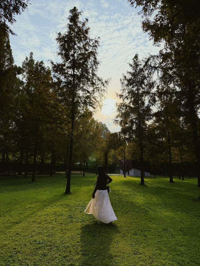 가을무드 제대로 즐기는 담양 당일치기 여행코스 🍂