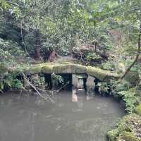 鋸南町　鋸山