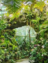 Botanic Garden in Singapore