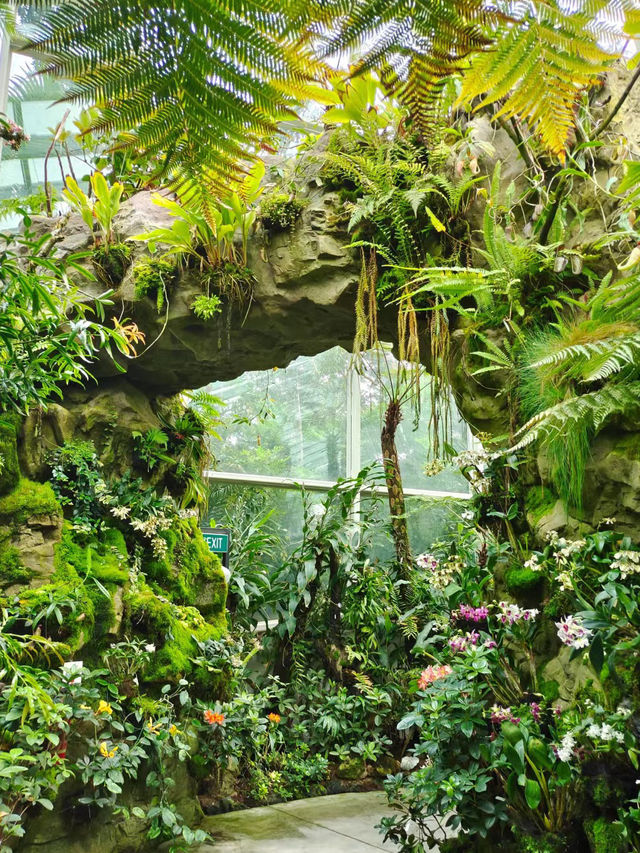 Botanic Garden in Singapore