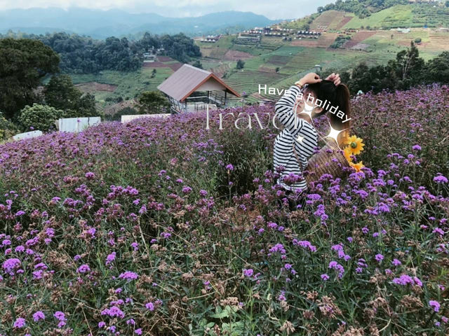 ถ่ายรูปเพลินๆ กับดอกไม้งามที่ดอยม่อนแจ่ม!