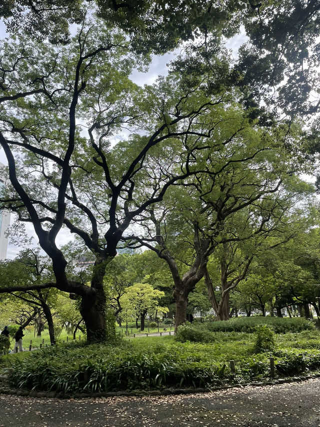 도쿄타워를 가장 가까운 곳에서 보는 공원 시바파크🗼