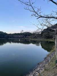 兵庫　18歳以下の子どもがいたら割引！✨明石公園のボート