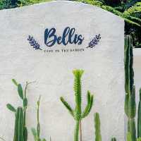 Bellis cafe ~ ร้านกาแฟในสวน
