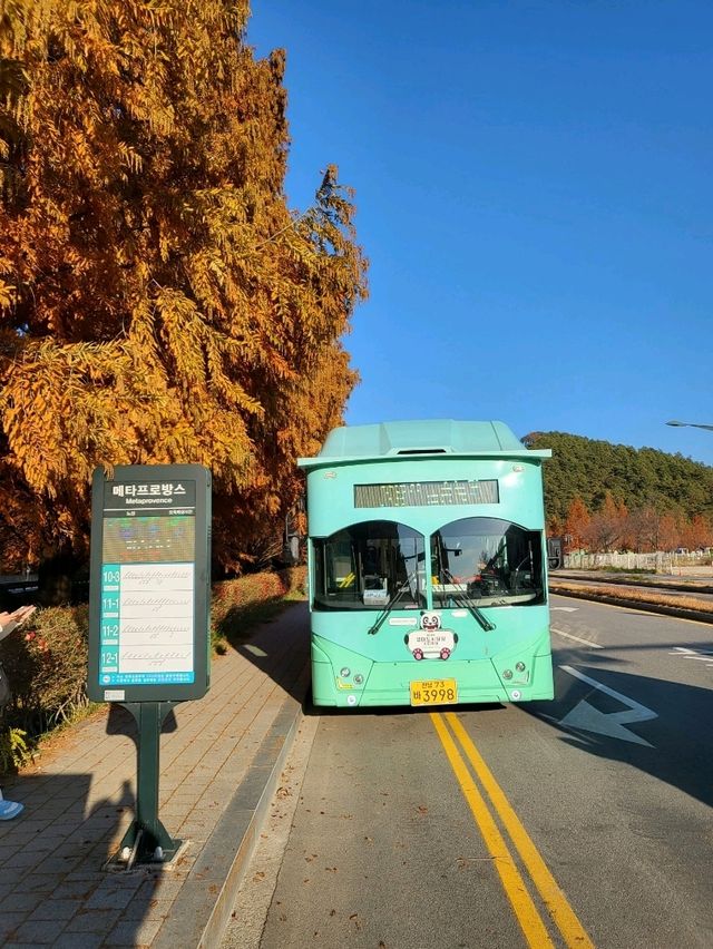 늦가을 즐기기 좋은 담양 가을여행지