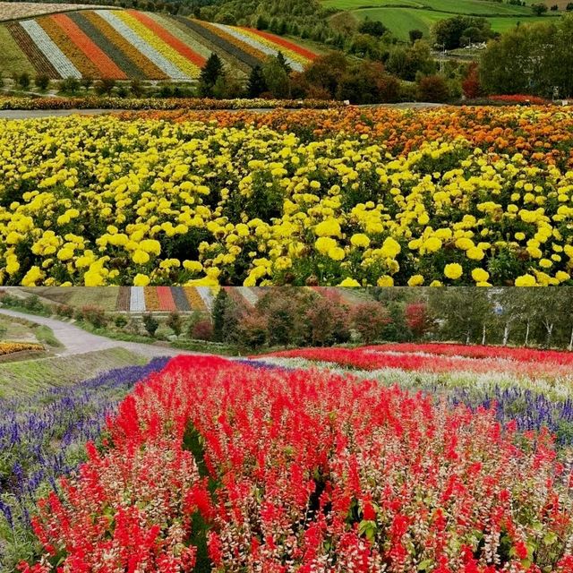 北海道好去處