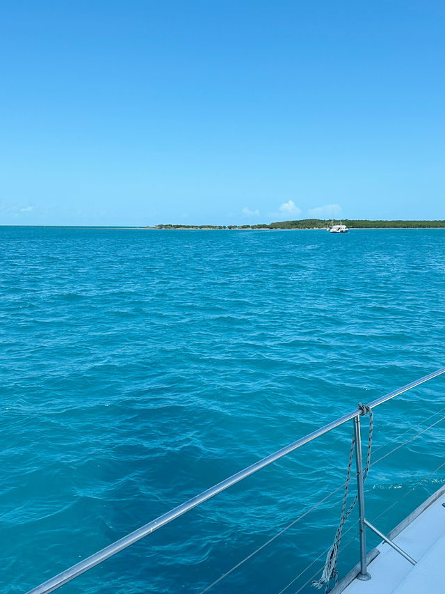 【Great Barrier Reef】　Low isles