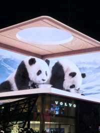 Chengdu after Dark.