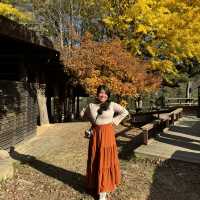 Beautiful Nami Island