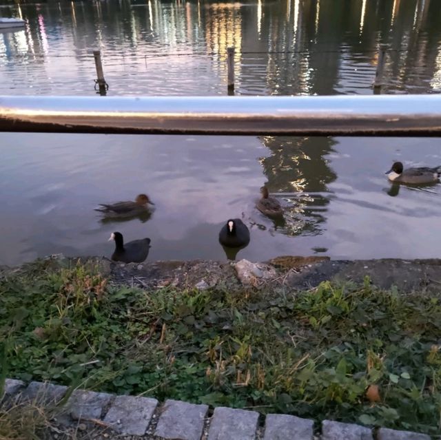 上野恩賜公園