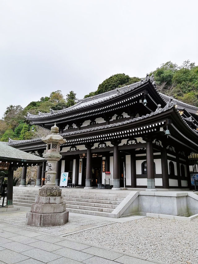 Hasedera Temple (วัดฮาเซเดระ)