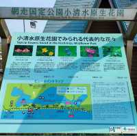 小清水原生花園に行きました！！