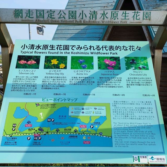 小清水原生花園に行きました！！