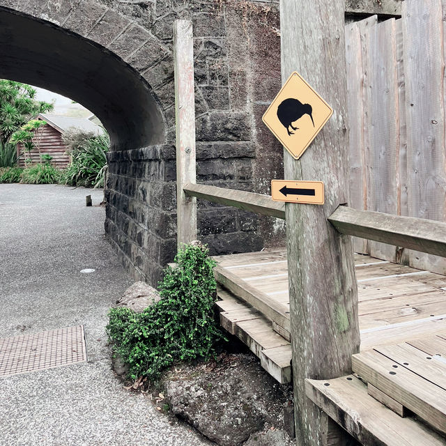 【NZ】オークランドの動物園🐱