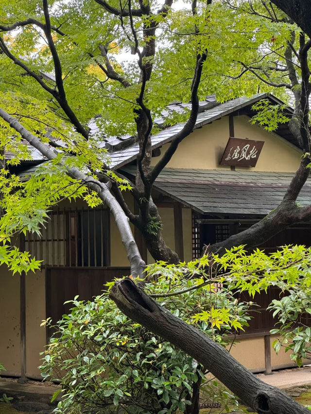 拍照勝地全攻略🥰超美庭園❤️超推薦