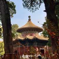 A Walk Through Imperial Majesty: The Palace Museum Experience