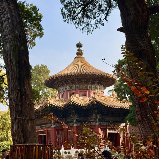 A Walk Through Imperial Majesty: The Palace Museum Experience