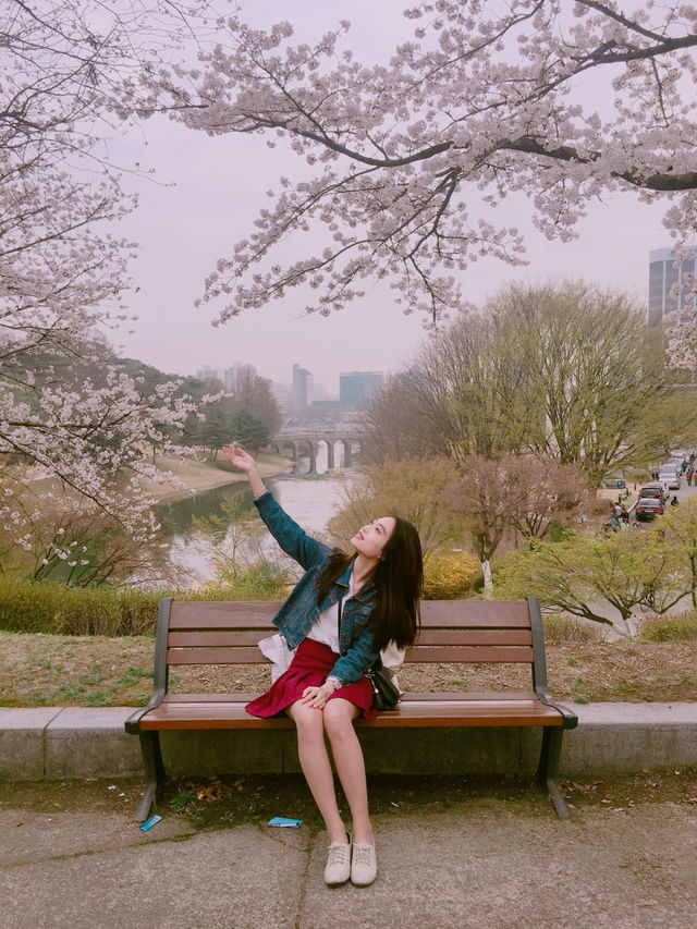 사진찍기 좋은 올림픽공원!