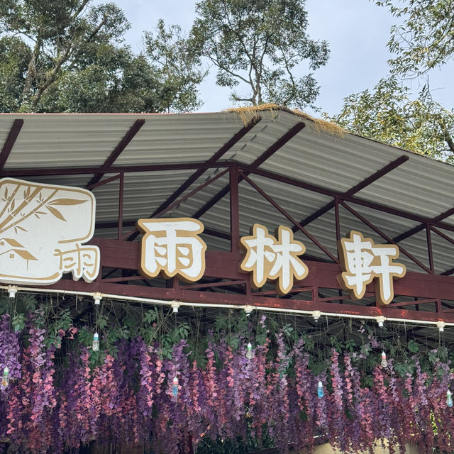 🇲🇾北馬雨林軒泰國餐