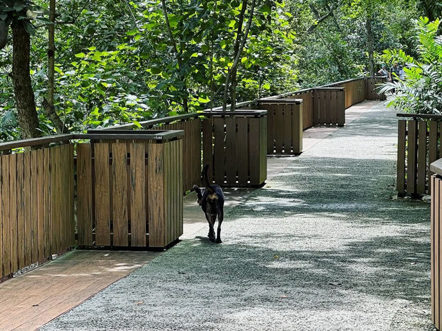 Exploring the Natural Beauty of Sungei Buloh Wetland Reserve