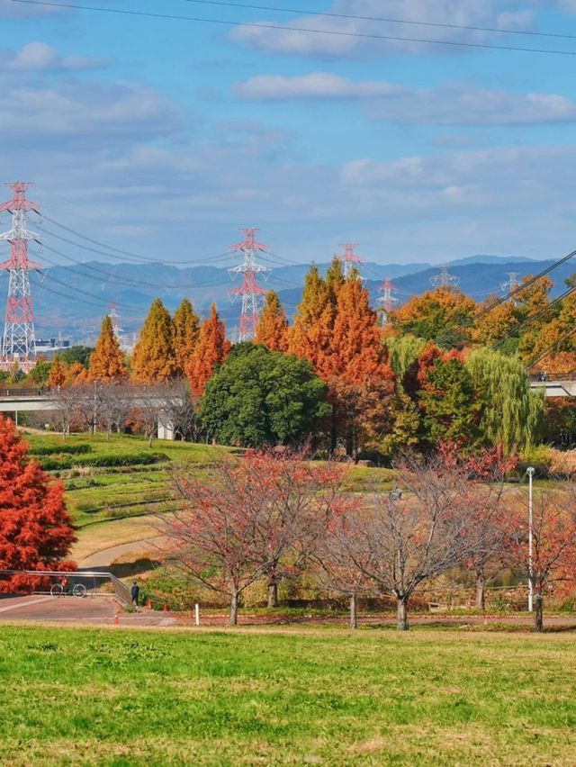 景點推薦：山田池公園——秋日賞紅葉的秘境