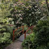 สวนที่สวยอันดับ 2 ในออสเตรเลีย Forest Glade Garden