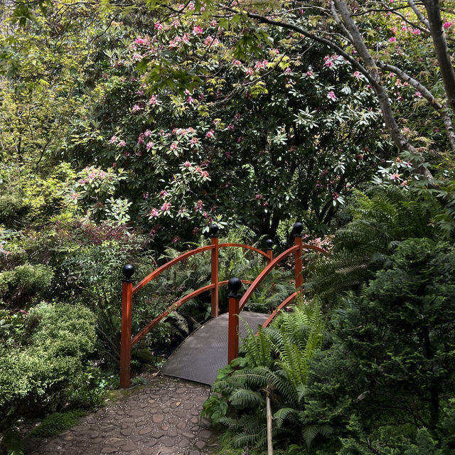 สวนที่สวยอันดับ 2 ในออสเตรเลีย Forest Glade Garden