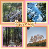 ～福林公園～清新派對～
