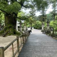 福岡太宰府、鬼滅之刃神社⛩️（寶滿宮竈門神社）