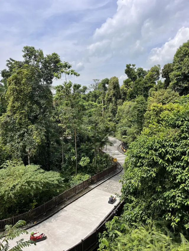 新加坡之旅，必玩活動！聖淘沙斜坡滑車