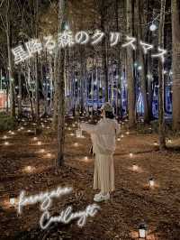 【軽井沢】キャンドルランタンの世界へ🕯おすすめクリスマスイルミネーション