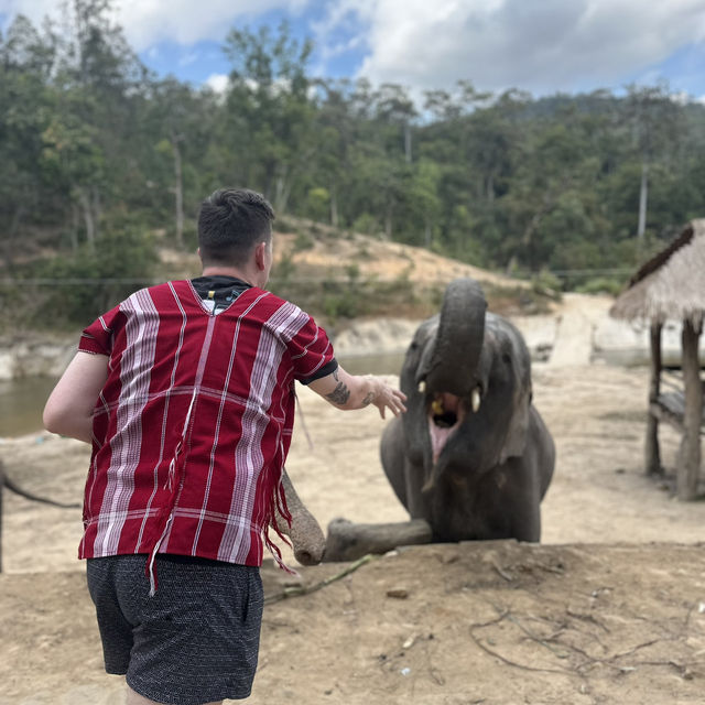 Walking with Giants: An Unforgettable Day at POM Elephant Sanctuary 🐘✨