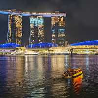Illuminating Nights: The Aurora of Gardens by the Bay