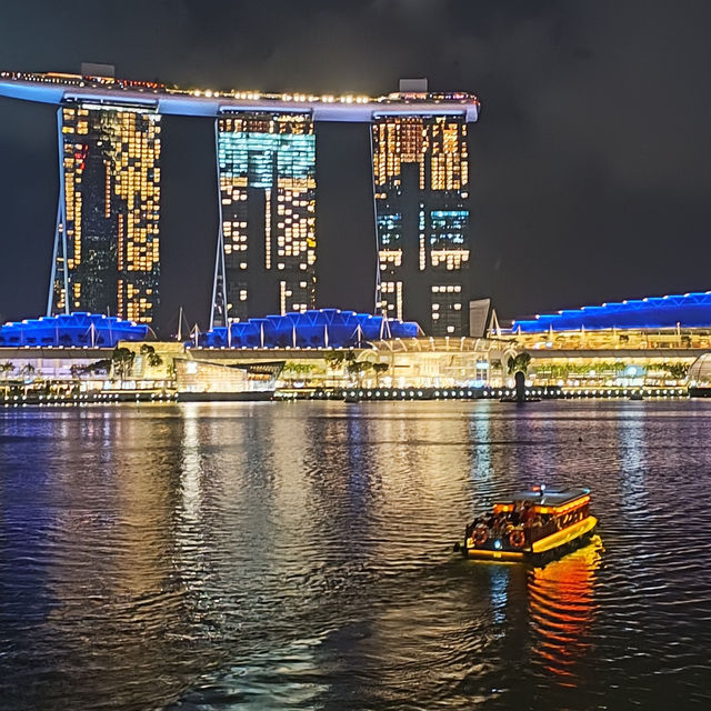 Illuminating Nights: The Aurora of Gardens by the Bay