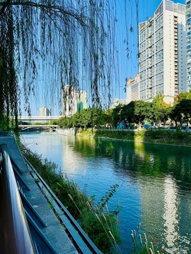 A Timeless Lifeline of the City